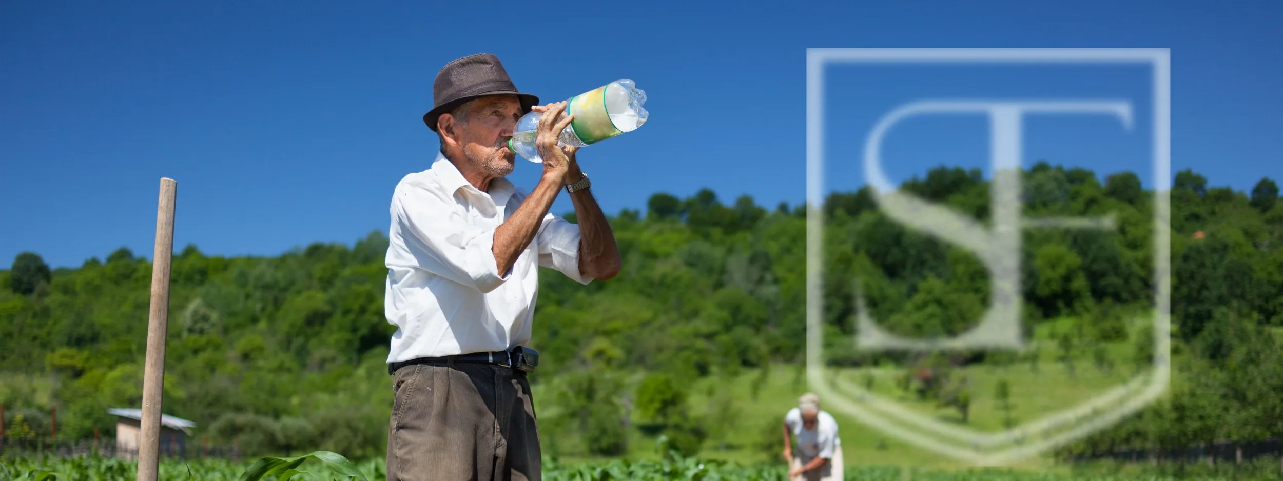 O trabalhador rural precisa contribuir para ser um segurado do INSS?